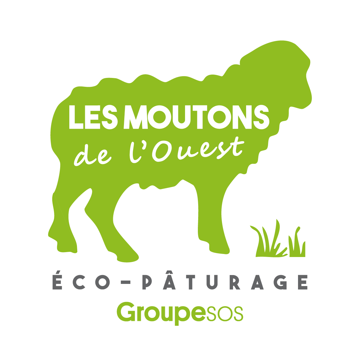 Les Moutons de l’Ouest