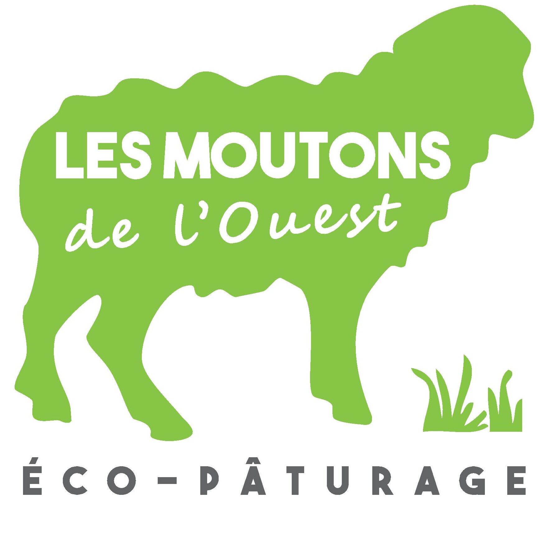 Les Moutons de l’Ouest